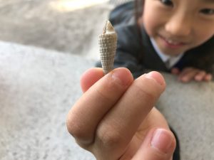 マリア様にあげるの